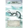 Tash-Kalar: Aréna Legend - Věčný Mráz + Upgrade Kit