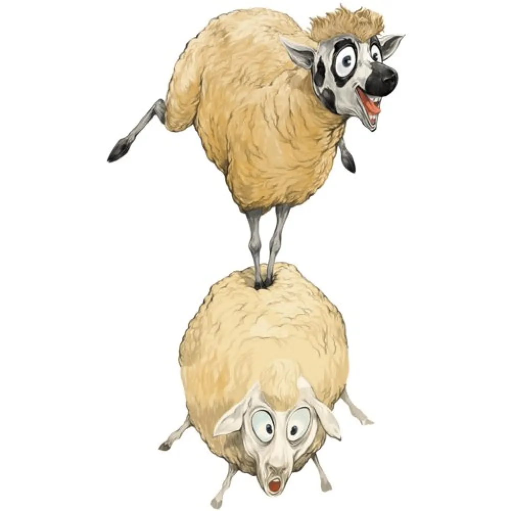 Te Kuiti