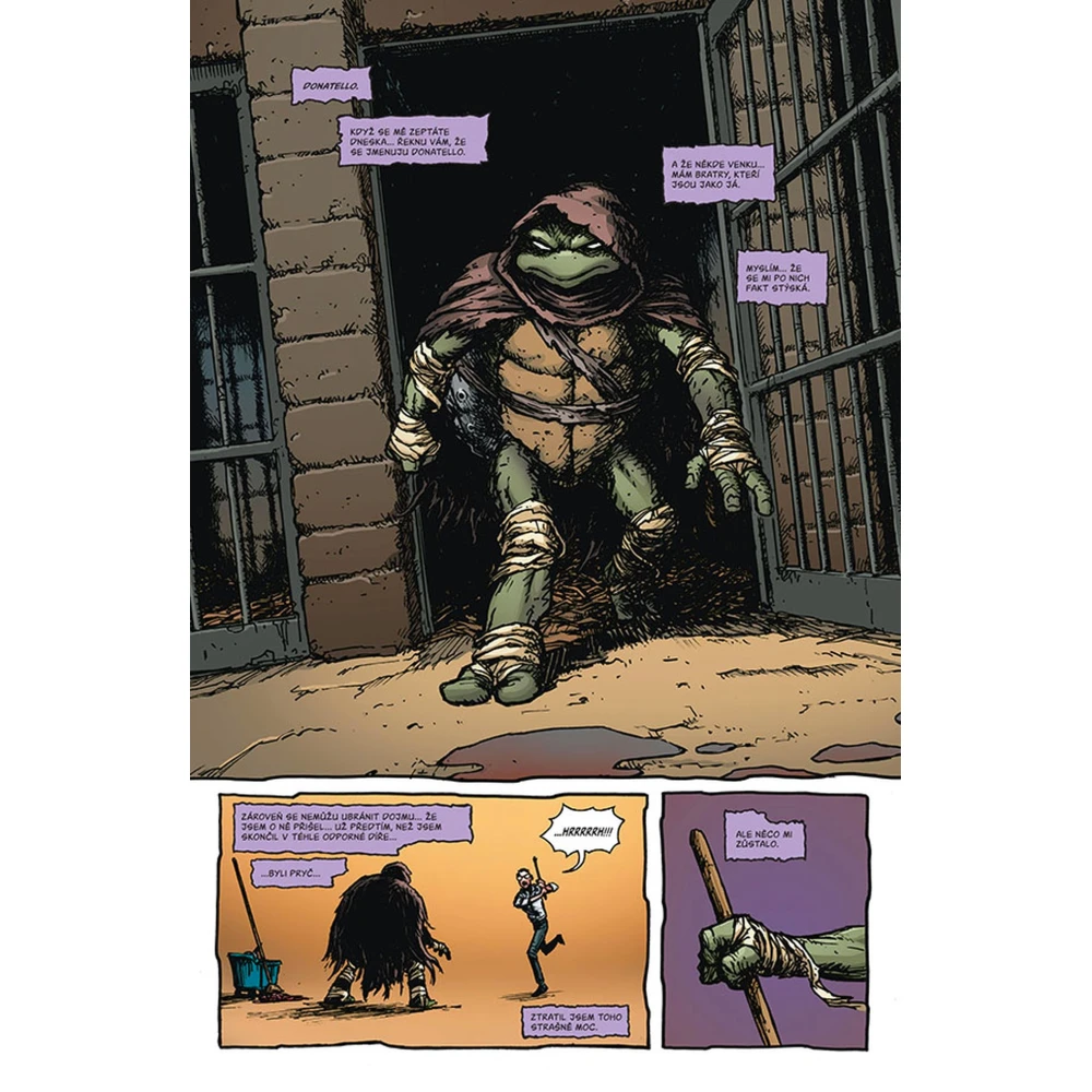 Teenage Mutant Ninja Turtles 1: Návrat do New Yorku