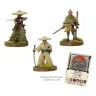 Test of Honour - Bandits & Brigands Swordsmen