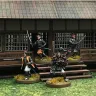 Test of Honour - Ronin
