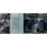 The Art of Hearthstone: Year of the Raven