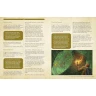 The Game Master's Book of Magic & Mayhem for Kids