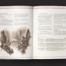 The Lord of the Rings RPG 5E: Moria - Shadow of Khazad-dûm