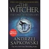 The Tower of the Swallow: Witcher 4