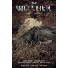 The Witcher Omnibus Volume 2