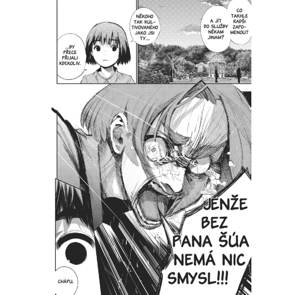 Tokijský ghúl: re 4