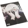 Tokyo Ghoul: re Complete Box Set