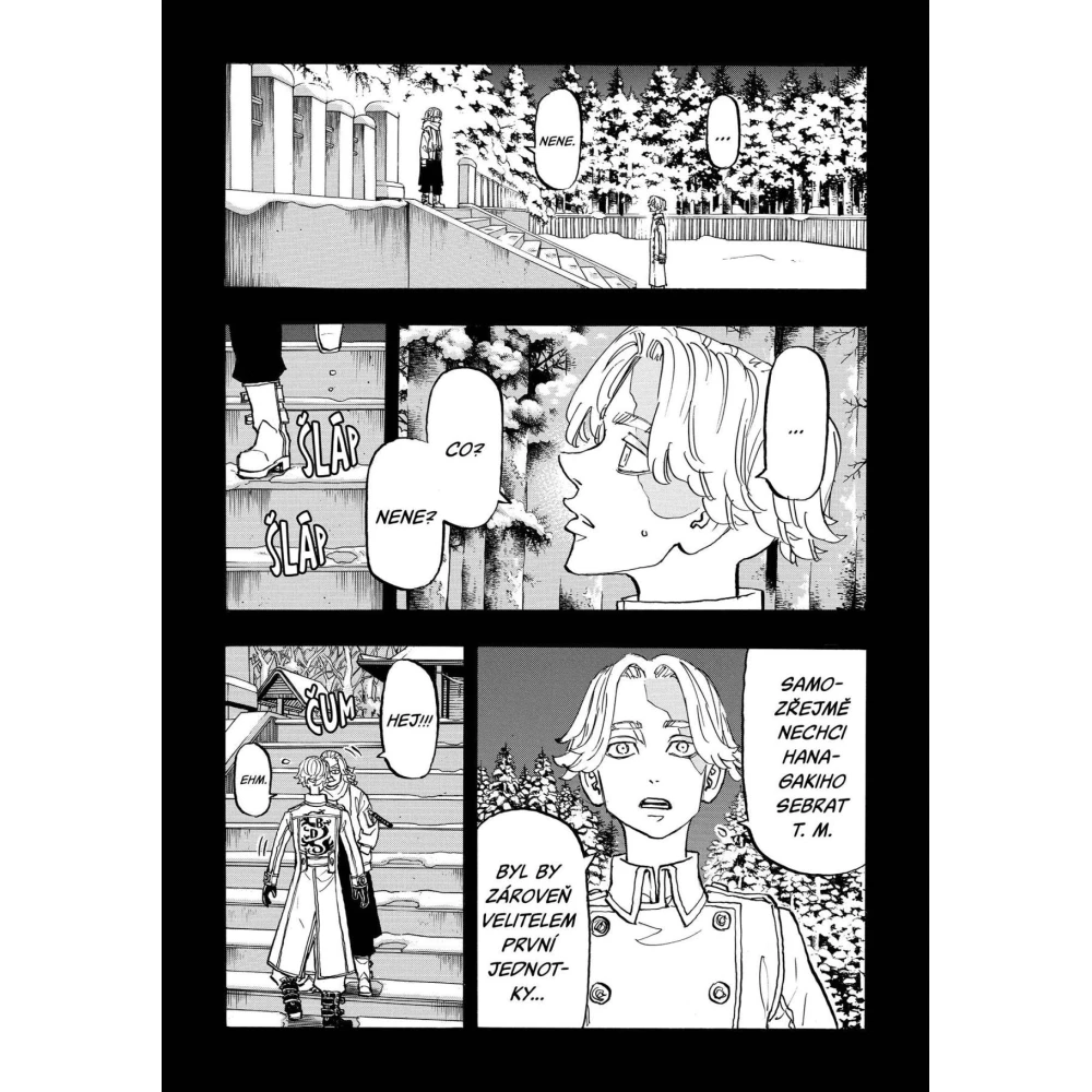 Tokyo Revengers 17