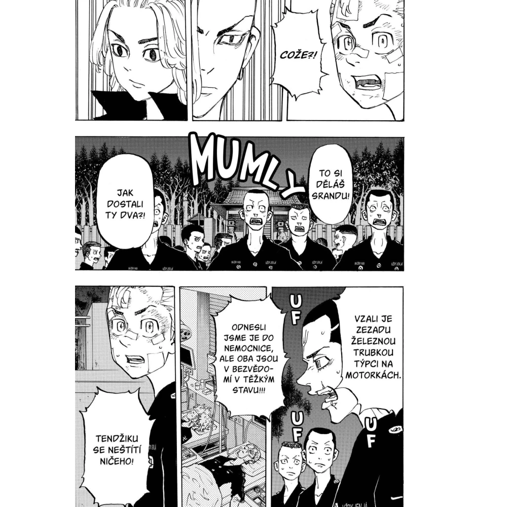 Tokyo Revengers 17
