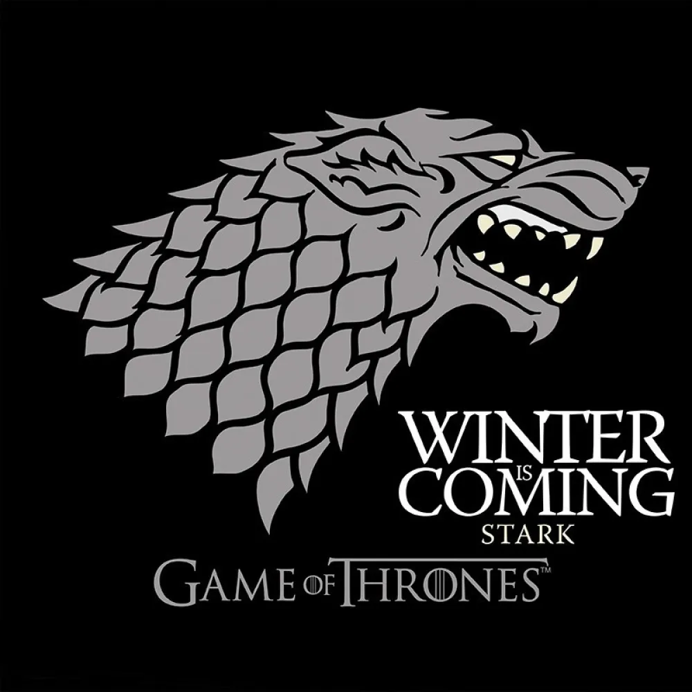 Tričko Game of Thrones - Winter is Coming - dámské