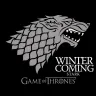 Tričko Game of Thrones - Winter is Coming - dámské