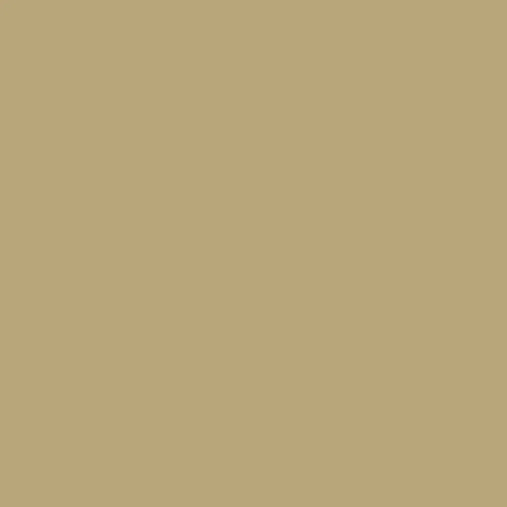 Vallejo: Game Color Bone White