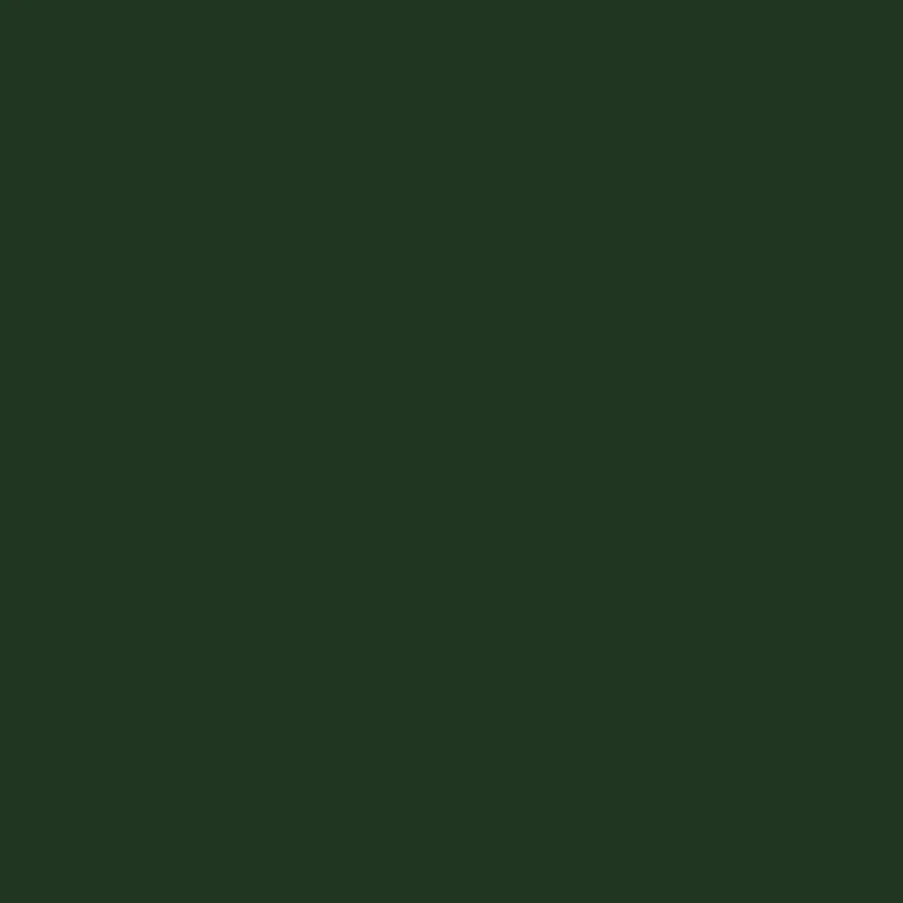 Vallejo: Game Color Dark Green