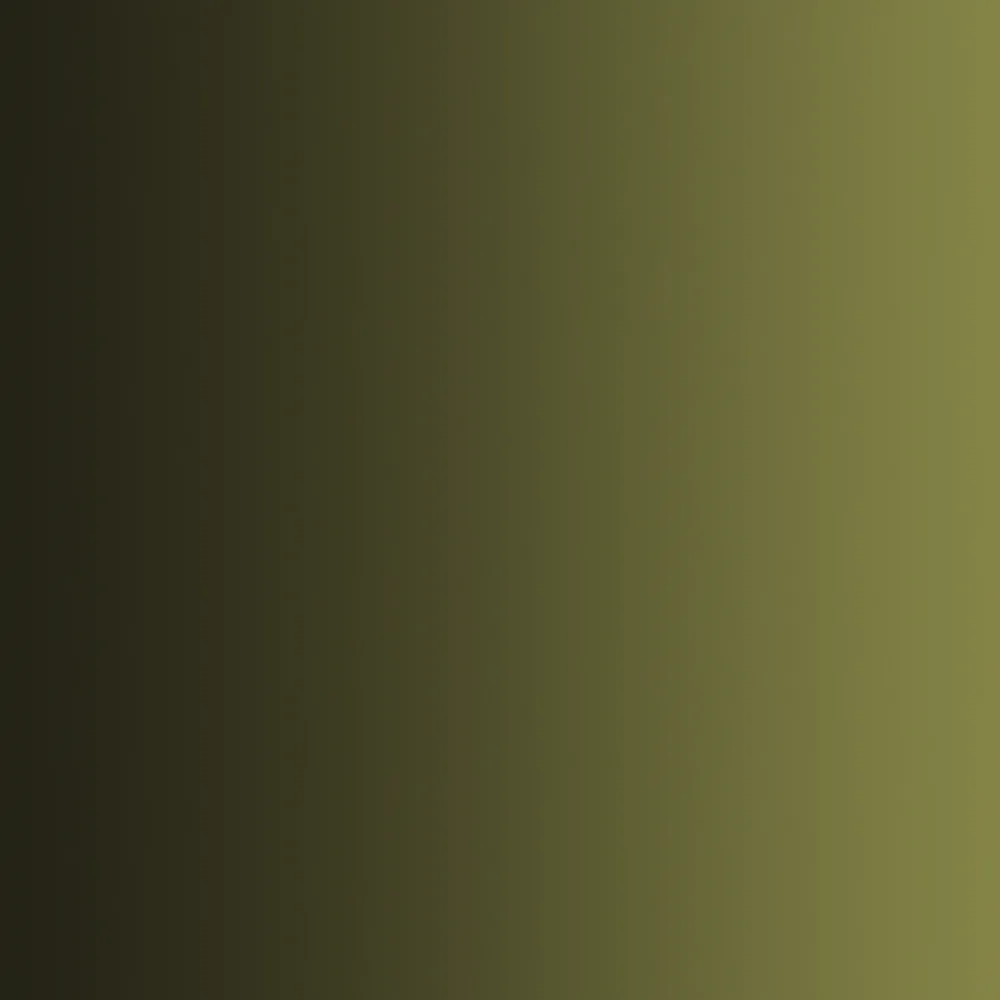 Vallejo: Xpress Camouflage Green