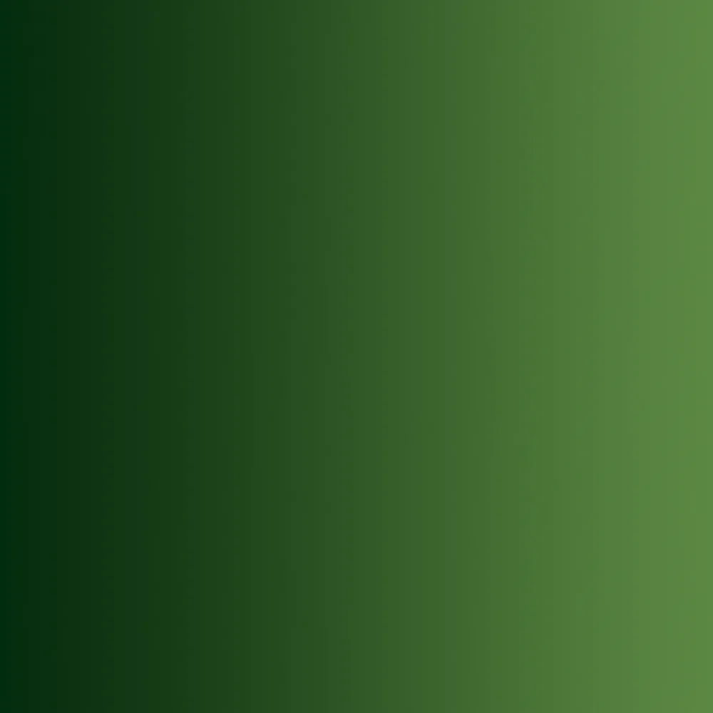Vallejo: Xpress Forest Green