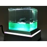 Campo del Cielo Meteorite Space Lamp