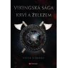 Vikingská sága: Krví a železem