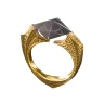 Horcrux: Marvolo Gaunt's Ring