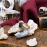 Horcrux: Marvolo Gaunt's Ring