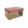 War of the Ring Card Box and Sleeves (Witch-king Edition)