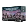 Warhammer 40,000: Emperor's Children - Tormentors