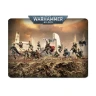 Warhammer 40000: T'au Empire - Kroot Farstalkers