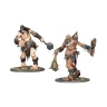 Warhammer Age of Sigmar: Brawlers of Behemat