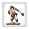 Warhammer Age of Sigmar: Brawlers of Behemat