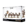 Warhammer Age of Sigmar: Brayherds Gors