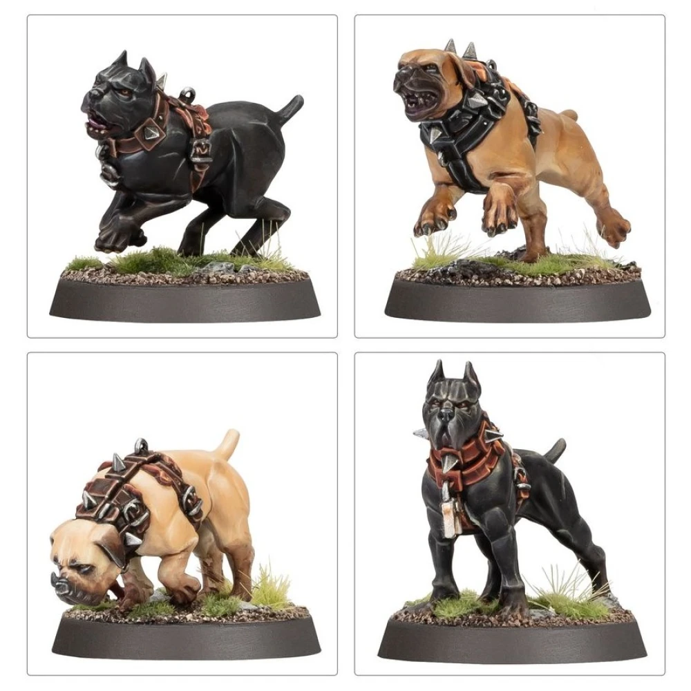 Warhammer Age of Sigmar: Cities of Sigmar Ven Denst's Hounds