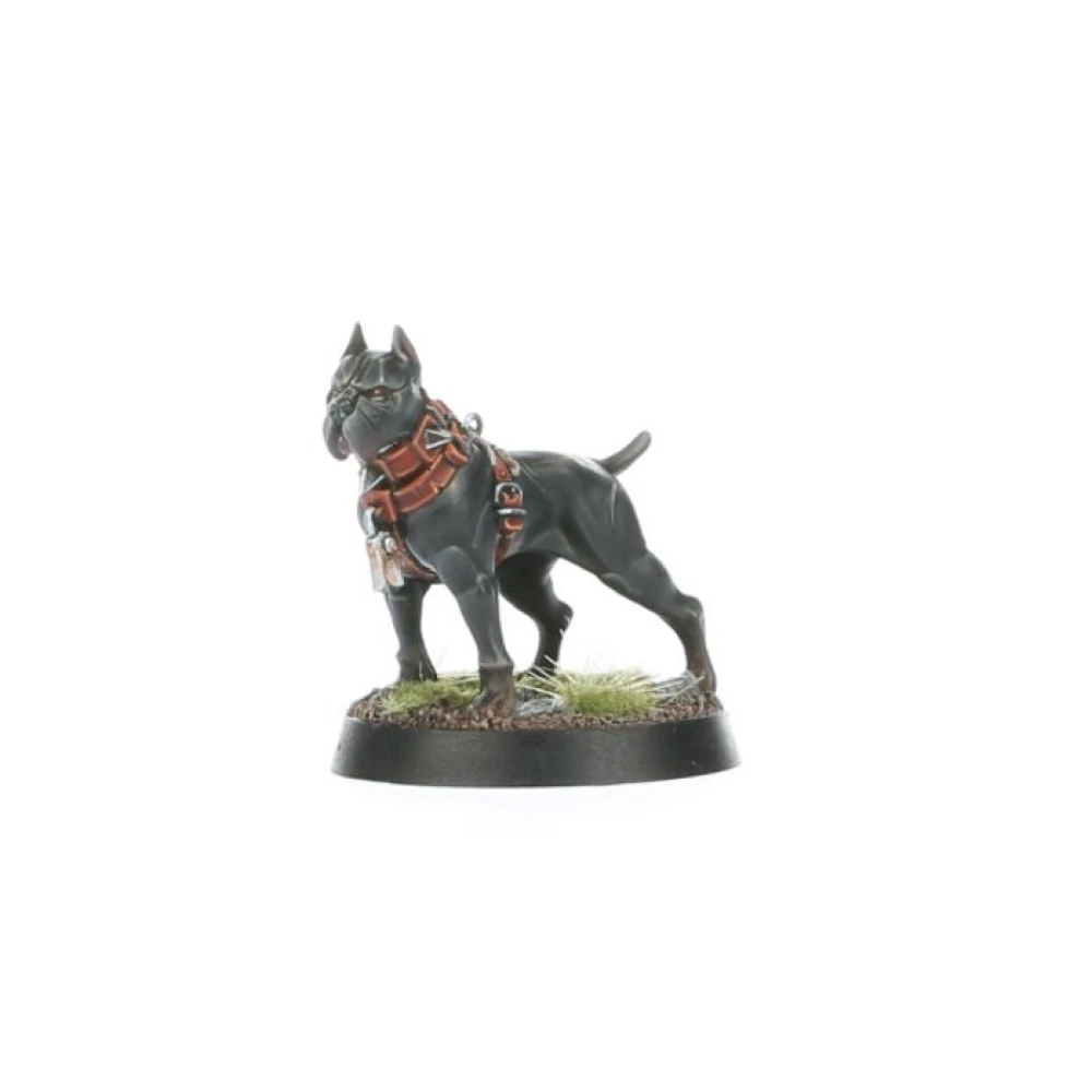 Warhammer Age of Sigmar: Cities of Sigmar Ven Denst's Hounds