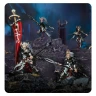Warhammer Age of Sigmar: Daughters of Khaine - Blood Hags
