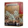 Warhammer Age of Sigmar: Maggotkin of Nurgle - Nurglings