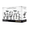 Warhammer Age of Sigmar: Slaves to Darkness Corvus Cabal