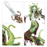 Warhammer Age of Sigmar: Spearhead Daughters of Khaine - Khainite Shadow Coven