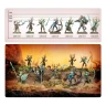 Warhammer Age of Sigmar: Sylvaneth - The Twisted Branch
