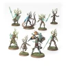 Warhammer Age of Sigmar: Sylvaneth - The Twisted Branch