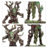 Warhammer Age of Sigmar: Sylvaneth - The Twisted Branch