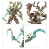 Warhammer Age of Sigmar: Sylvaneth - The Twisted Branch