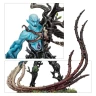Warhammer Age of Sigmar: Sylvaneth - The Twisted Branch