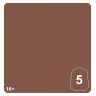 Warhammer Pro Tone: Carthalos Skin 5 (12 ml)