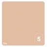 Warhammer Pro Tone: Celestine Skin 5 (12 ml)