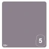 Warhammer Tone Pro: Enrapturess Dusk 5 (12 ml)