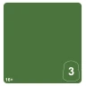 Warhammer Tone Pro: Kasrkin Green 3 (12 ml)