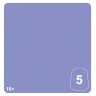 Warhammer Tone Pro: Shalaxi Violet 5 (12 ml)