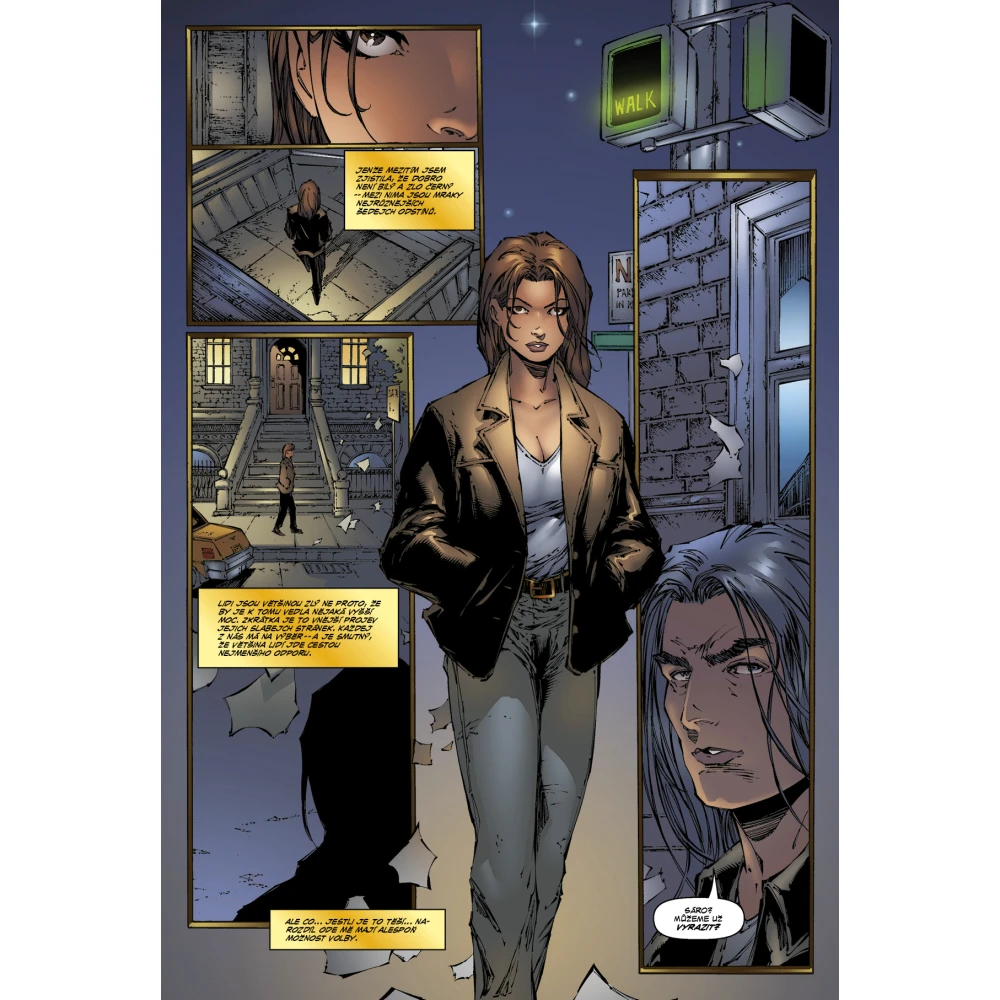 Witchblade Kompendium 3