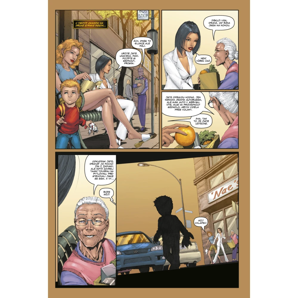 Witchblade Kompendium 4