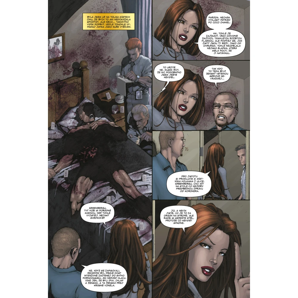 Witchblade Kompendium 4