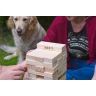 Garden Tower (Jenga)